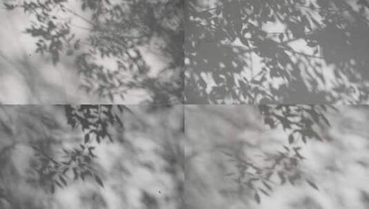 影子 树影 白墙树影高清在线视频素材下载