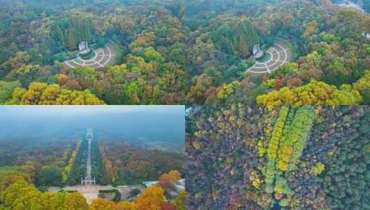 中山陵-明孝陵-植物园秋景合集高清在线视频素材下载