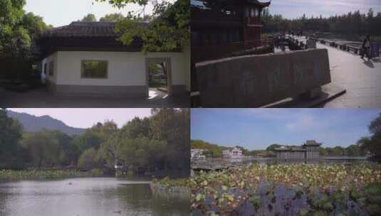 杭州西湖十景曲院风荷古园林风景4K视频合集高清在线视频素材下载