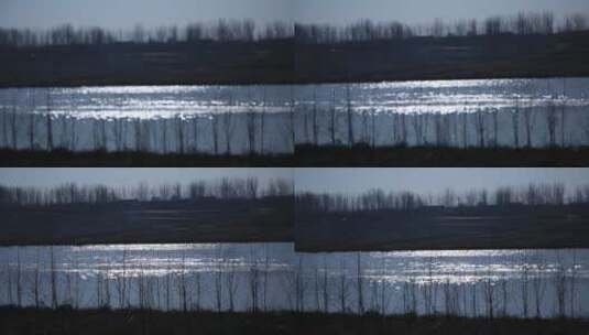 波光粼粼的河面高清在线视频素材下载
