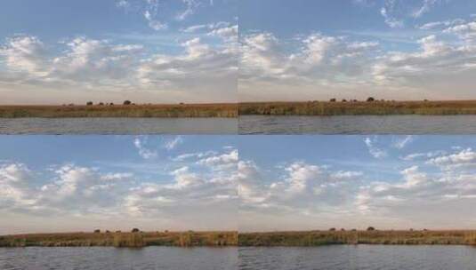 天空下的非洲草原高清在线视频素材下载