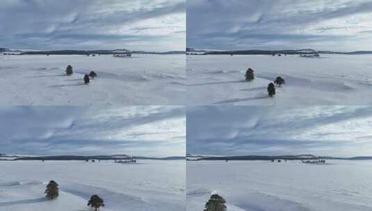 航拍内蒙古鄂温克林海雪原高清在线视频素材下载