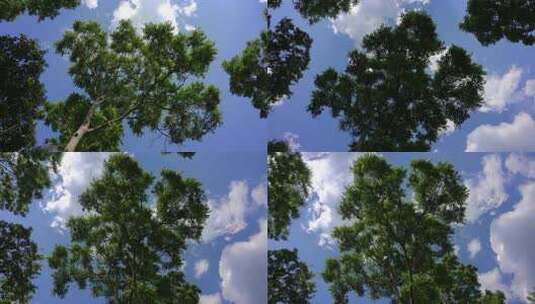 蓝天白云绿叶唯美天空高清在线视频素材下载
