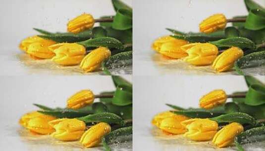 水落在黄色的郁金香花上高清在线视频素材下载