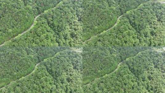 森林公路航拍山路树林道路俯拍林间道路风景高清在线视频素材下载