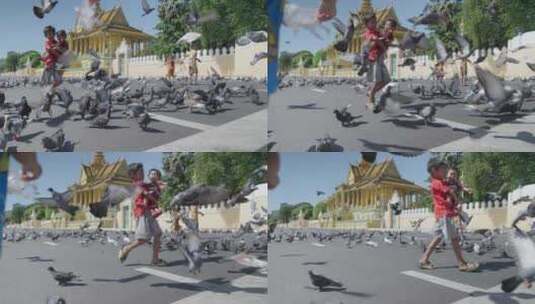 东南亚柬埔寨小孩在街上走 鸽子飞舞高清在线视频素材下载
