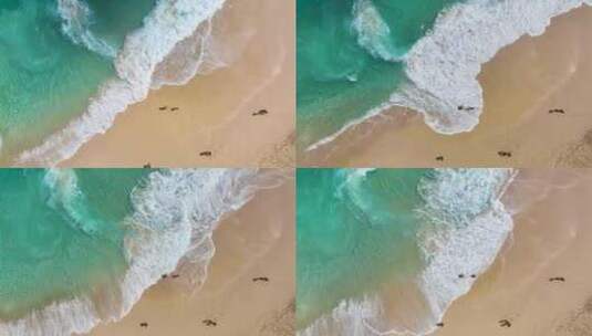 巴厘岛佩妮岛精灵沙滩航拍高清在线视频素材下载