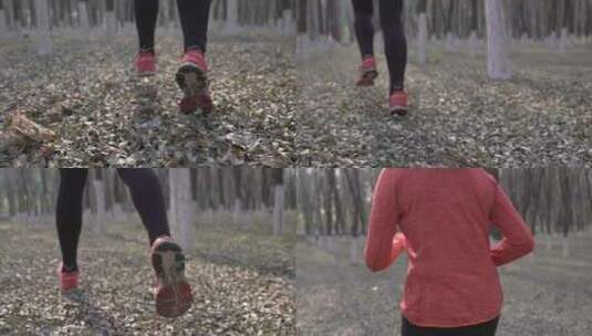 树林跑步的女子高清在线视频素材下载