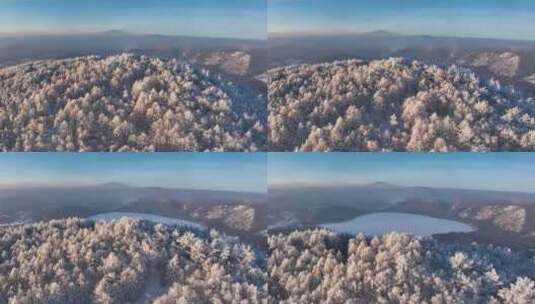 阿尔山森林雾凇 林海雪原雾凇高清在线视频素材下载