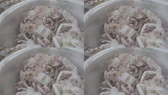 螃蟹清洗加工高清在线视频素材下载