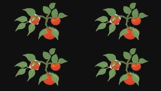 藤蔓西红柿动画【带通道+无限循环】高清在线视频素材下载