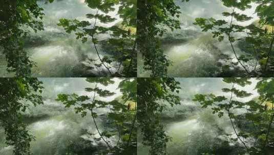 河流 树木高清在线视频素材下载