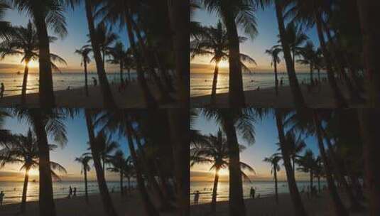海滩上的日落与人和棕榈树高清在线视频素材下载