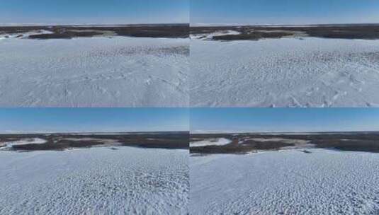 冰雪覆盖的内蒙古扎敦河湿地高清在线视频素材下载