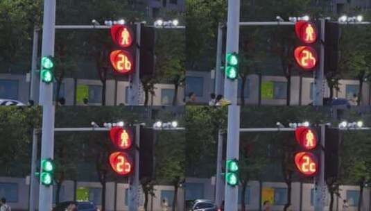 红绿灯 交通 路口 行人 斑马线 红灯 绿灯高清在线视频素材下载