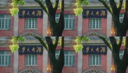 湖南大学建筑高清在线视频素材下载