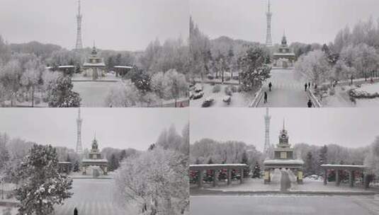 冰雪覆盖树木的冬季雪景航拍画面高清在线视频素材下载