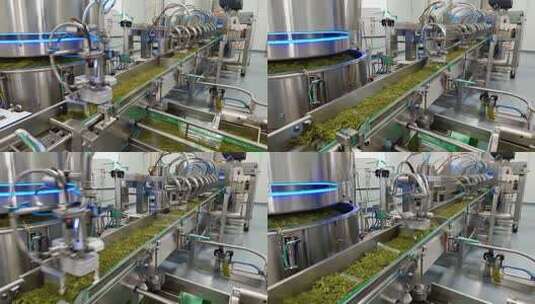 工厂食品生产流水线高清在线视频素材下载