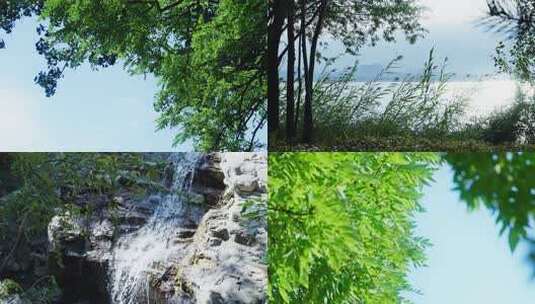 树叶阳光唯美光影夏天意境盛夏叶子阳光树下高清在线视频素材下载