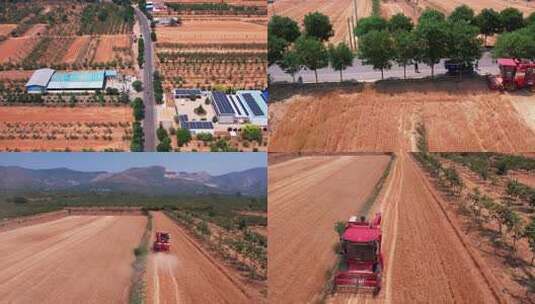 秋收农业粮食丰收 乡村振兴 美丽乡村高清在线视频素材下载