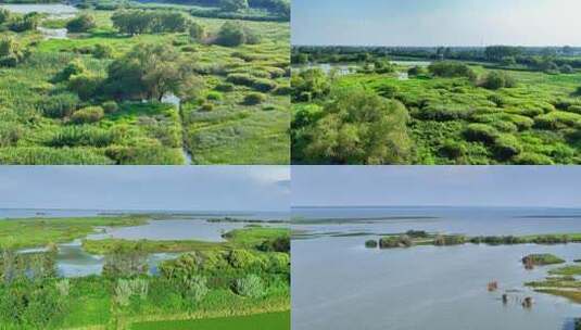 湿地自然风光全景高清在线视频素材下载