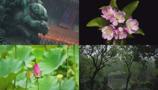 【2025版】中国传统二十四节气实拍高清在线视频素材下载
