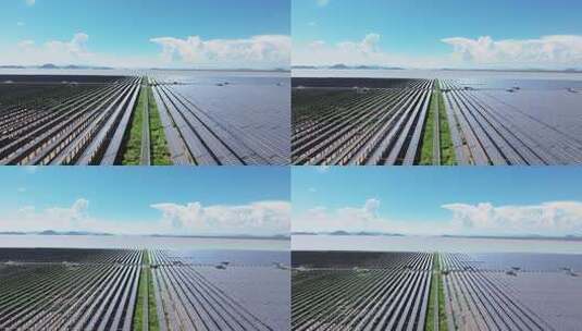 水上光伏高清在线视频素材下载