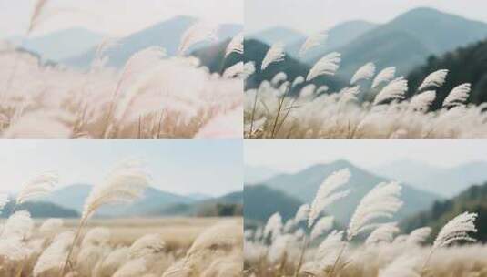 山间草海柔软羽毛与远山剪影高清在线视频素材下载