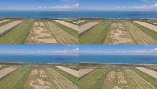 青海倒茶湖公路边的青海湖美景高清在线视频素材下载