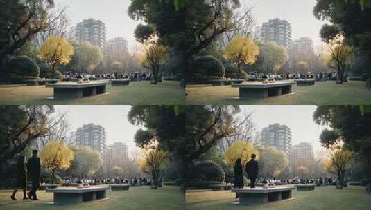 城市公园草坪商务会议和谐场景高清在线视频素材下载