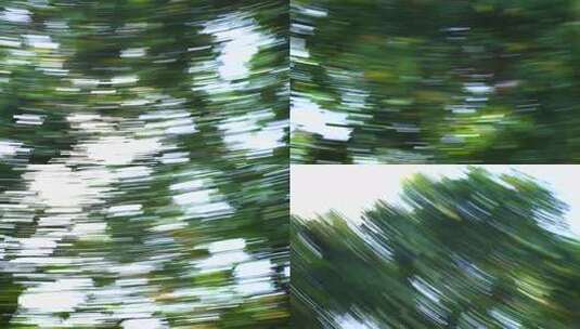 树叶光影模糊运动森林转场绿色树木快速移动高清在线视频素材下载