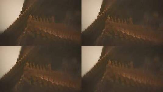 雨天故宫房檐脊兽倒影水滴涟漪高清在线视频素材下载