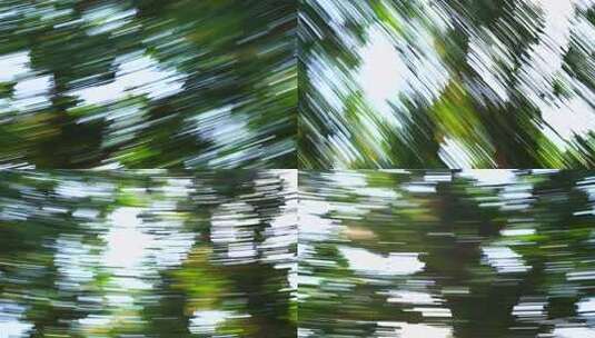 树叶光影模糊运动森林转场绿色树木快速移动高清在线视频素材下载