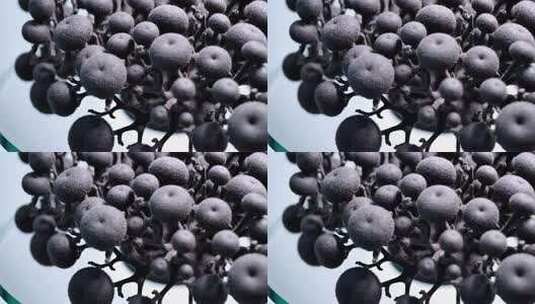 黑色球状物体微距特写素材高清在线视频素材下载