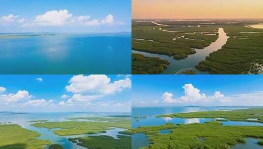 鄱阳湖湿地 江西高清在线视频素材下载