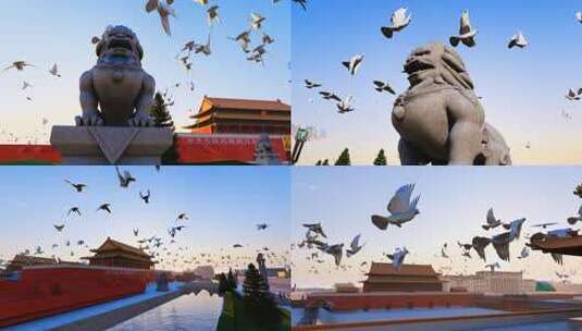 中国北京天安门广场上飞翔的和平鸽高清在线视频素材下载