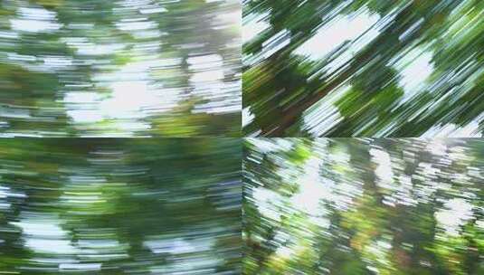 树叶光影模糊运动森林转场绿色树木快速移动高清在线视频素材下载