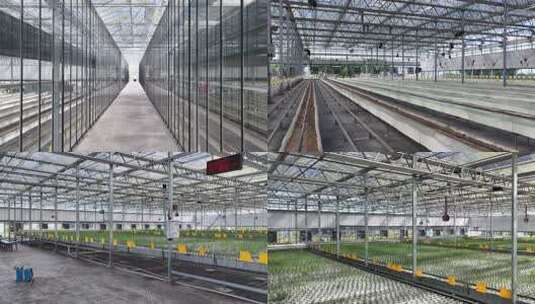 现代农业大棚内部场景高清在线视频素材下载