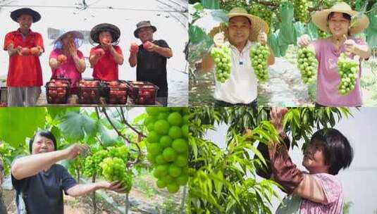 农民笑脸纯朴笑容幸福希望丰收乡村振兴高清在线视频素材下载