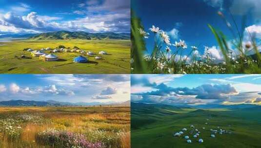 火红的萨日朗-大屏高清在线视频素材下载