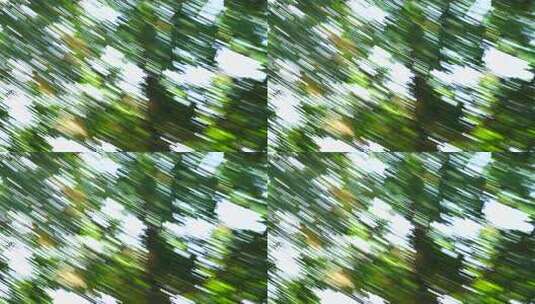 树叶光影模糊运动森林转场绿色树木快速移动高清在线视频素材下载