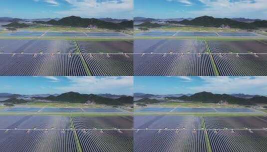 水上光伏高清在线视频素材下载