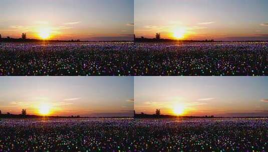 日落时分田野粒子光效场景高清在线视频素材下载
