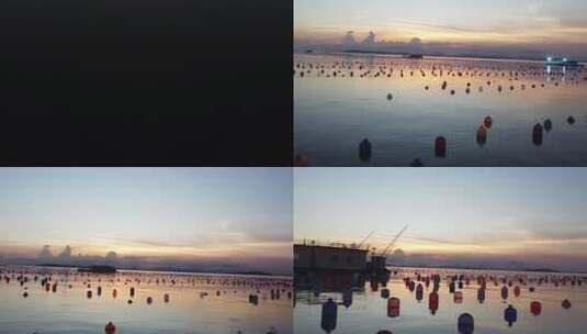 南澳生蚝养殖场航拍高清在线视频素材下载