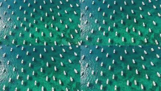 航拍碧绿海面密集游艇停泊度假风光视频高清在线视频素材下载