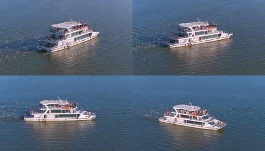 航拍滇池游船与海鸥高清在线视频素材下载