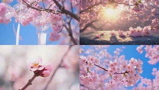 樱花桃花花朵蜜蜂采蜜花开开花延时ai素材高清在线视频素材下载