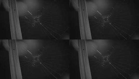 蜘蛛网黑白风特写镜头高清在线视频素材下载