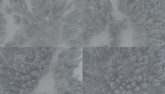 唯美长白山冬季原始森林老里克湖雪景航拍高清在线视频素材下载
