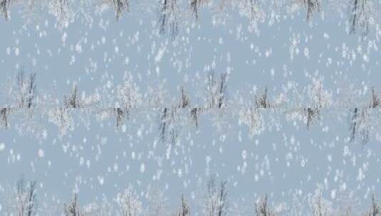 唯美冬天素材 大雪纷飞 白色雪景 网红天幕高清在线视频素材下载
